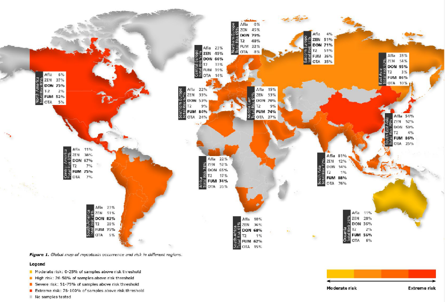 全球谷物中真菌毒素分布