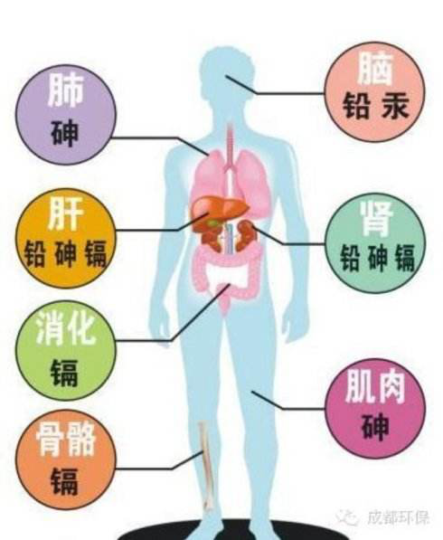 重金屬污染來(lái)源及危害