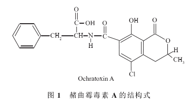 赭曲霉毒素A