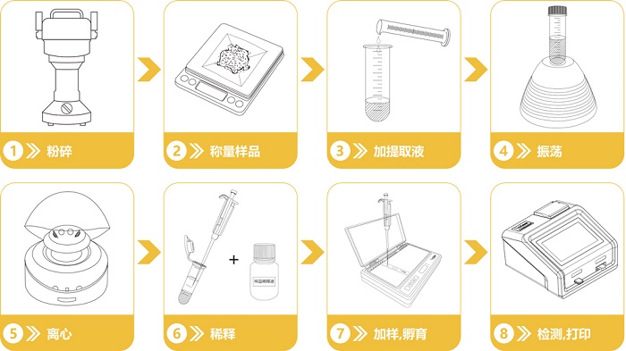 黃曲霉毒快速檢測(cè)試紙條檢測(cè)流程